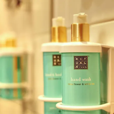 نوفوتيل إيرلانغين فندق 3*