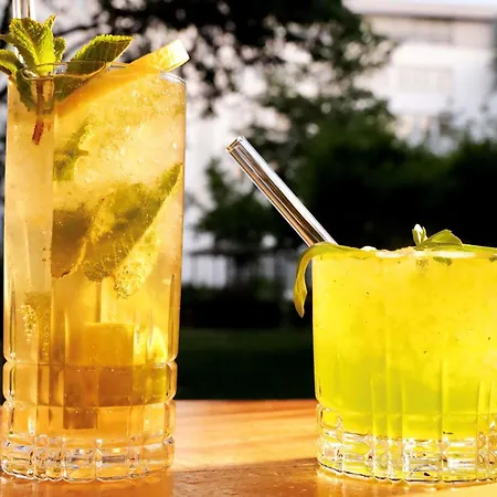 فندق نوفوتيل إيرلانغين