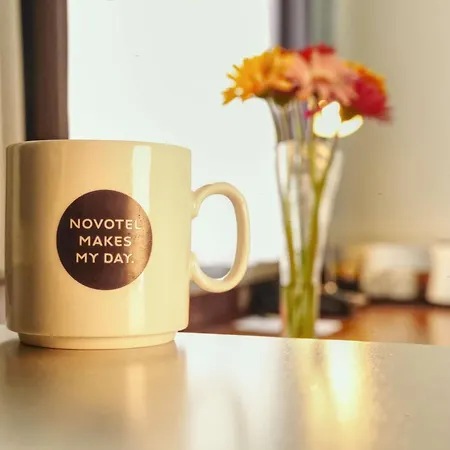 فندق نوفوتيل إيرلانغين إرلانجن