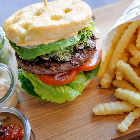 نوفوتيل إيرلانغين فندق إرلانجن