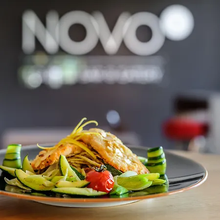 نوفوتيل إيرلانغين